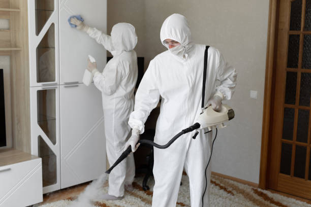 24/7 Emergency Odor Removal experts in Newport, OH